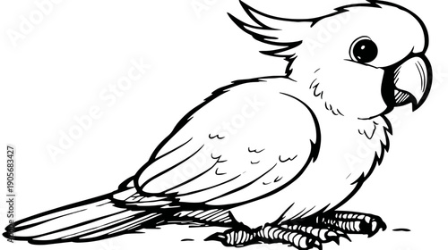 A black and white line art illustration of a cockatiel bird in a simple style