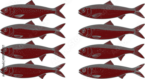 Red engraved fish illustration collection with vintage seafood vector set in detailed hand drawn sketch style