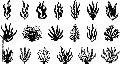 Seaweed and coral silhouettes, marine plants collection, underwater flora icons, aquatic nature elements black vector illustration