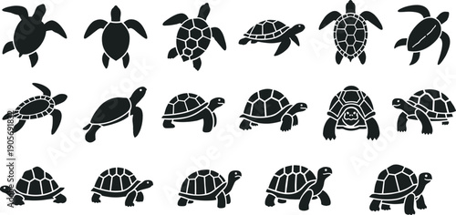 Turtle and tortoise silhouettes, sea turtle icons collection, marine reptile symbols, aquatic animal wildlife vector flat illustration