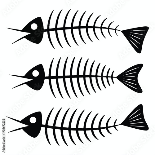 Three Horizontal Fish Skeletons on White Background