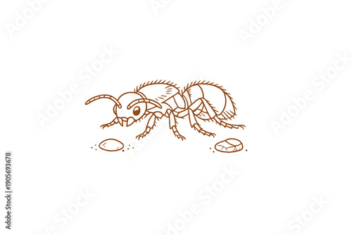 A brown line art illustration of a cartoon ant standing on a black background. The insect features large eyes and segmented body parts while positioned near two small stones.