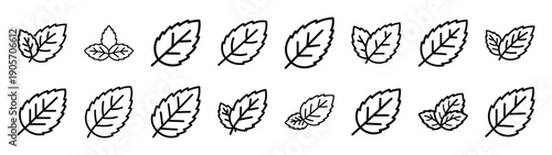 Collection of mint leaf different kitchen outlines silhouette icon set.