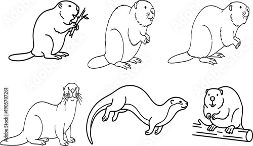 Collection of Beaver and Otter Line Art Vector Illustrations Featuring Semi Aquatic Mammals and River Animals Ideal for Educational Coloring Books and Nature Graphic Projects