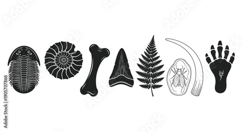 Fossils Vector Icon Collection