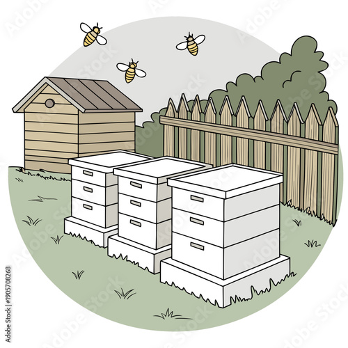 White beehives on green grass near wooden shed and fence with bees flying