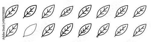 Collection of bay leaf different kitchen outlines silhouette icon set.