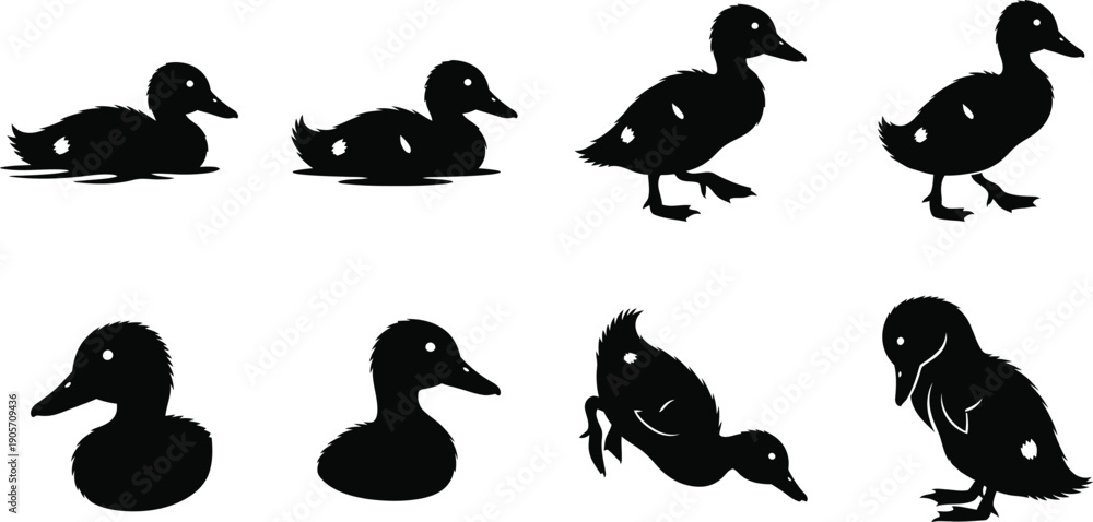 Obraz premium Black duck icon set various silhouette postures and angles