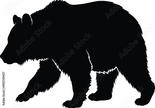 Large Grizzly Bear Silhouette Vector Illustration Featuring a Wild Brown Bear Walking in Profile View Ideal for Nature Wildlife Branding Forest Animal Logos and Graphics
