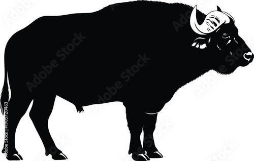 Vector illustration of a majestic bull standing proudly with sharp horns in a studio setting from a side viewpoint