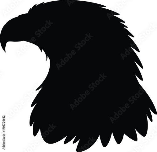 Black silhouette of a majestic eagle head profile with sharp beak isolated on a white background, national bird symbo