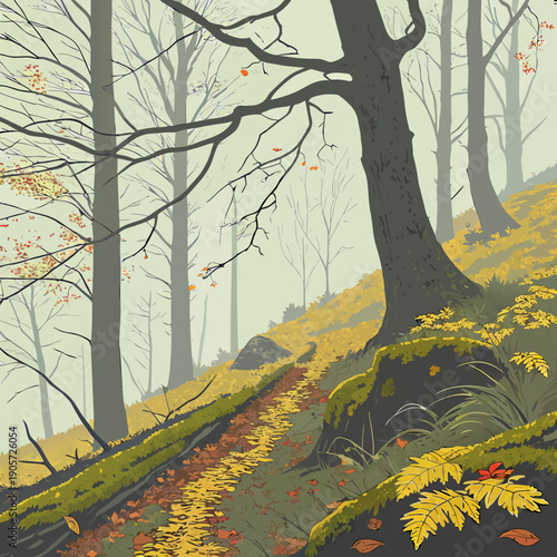 Foggy Autumn Morning in Forest Landscape Nature Scene