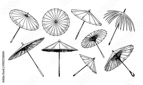 Collection of Hand Drawn Asian Parasols and Umbrellas White Background traditional