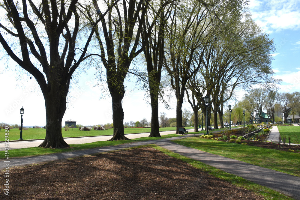 Fototapeta premium The Plains of Abraham in spring, Québec, Canada