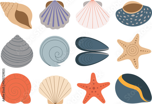 Cute seashells and starfish collection flat vector marine elements set colorful ocean beach illustration icons for summer design
