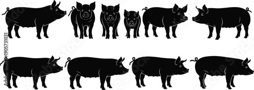 WebCollection of black pig and hog silhouettes featuring various farm animals and swine in different poses isolated on white background for agricultural design projects