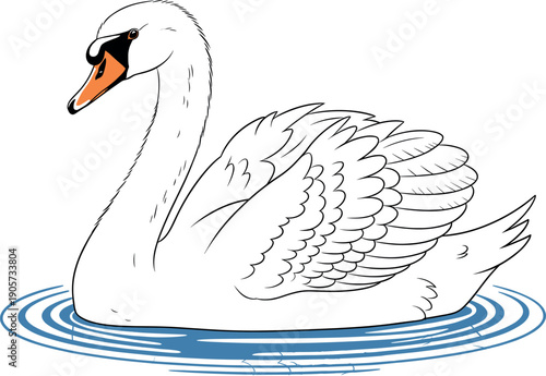 Elegant white swan swimming on blue water ripples vector illustration isolated on white, graceful waterfowl bird for nature, wildlife, wedding, purity, and serenity design concepts.