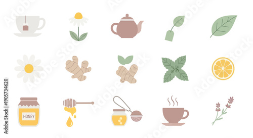 Tea Herbs Spices and Accessories Collection.