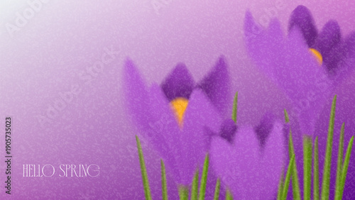 Colorful spring gradient background. Abstract vector banner with colourful gradients and blurred spring crocuses. Grainy card with colorful spring blossoms.