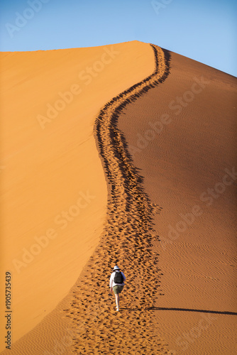 Canvas Print Tourist Hiking Up the Ridge of a Giant Orange Sand Dune in Sossusvlei Namibia