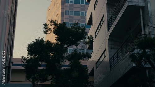 Warm sunset light falls across a Japanese neighborhood, highlighting houses and local urban life.