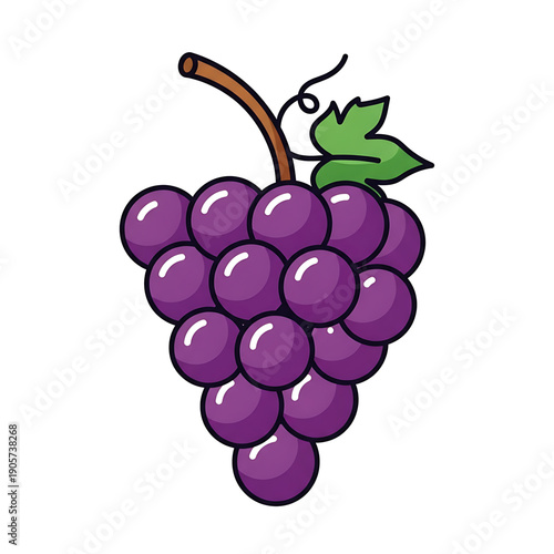 Bunch of purple grapes illustration.