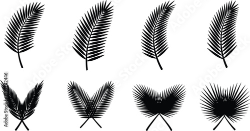 Palm tree icon set various feather and leaf illustrations