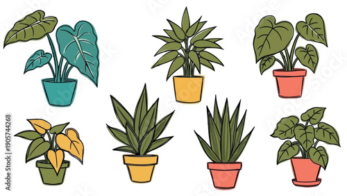 A collection of various potted house plants in a charming handdrawn style suitable for home gardening enthusiasts and interior decoration projects.