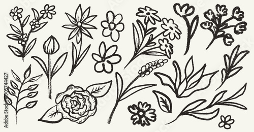 Hand drawn botanical floral elements set with wild flowers leaves and herbs in vintage grunge sketch style ink pencil charcoal and crayon illustration for decorative and scrapbooking design