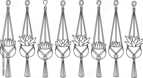 WebMinimal hanging succulent planter illustration set, macrame plant holders, black line art, modern botanical decor, isolated white background, vector, collection