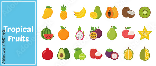 Vibrant Collection of Tropical Fruit Icons in Flat Vector Style, Including Mango, Pineapple, Banana, Papaya, Coconut, Kiwi, Watermelon, Dragon Fruit, Passion Fruit, Lychee, Star Fruit, and Avocado.