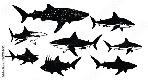 Konstfotografi Shark Species Silhouettes Vector