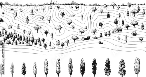 Hand drawn landscape illustration with contour lines and diverse trees showing topographic terrain design nature map sketch style isolated on white background