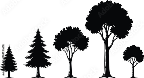 Tree silhouette, forest tree illustration, nature tree design, conifer tree artwork, deciduous tree drawing, black tree graphic, environmental tree sketch, botanical tree pattern