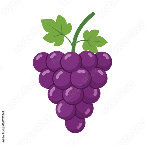 Fresh Purple Grape Cluster for Healthy Eating and Food Photography