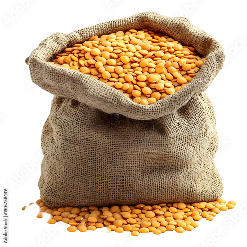 Front view of a single jute sack of toor dal lentils overflow and fallen out, studio shot, isolated on a white transparent background