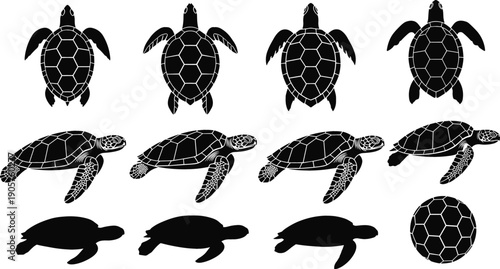 Detailed black silhouette vector set featuring 12 sea turtle illustrations with diverse shell patterns, perspectives, and swimming poses