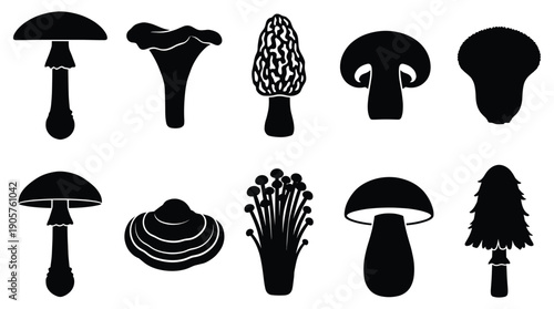 Various Mushroom Silhouettes in Black and White Illustrations