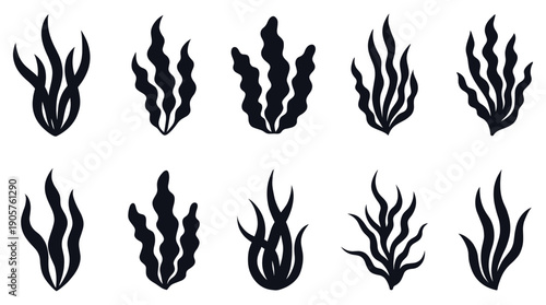 Collection of black seaweed silhouettes on a white background