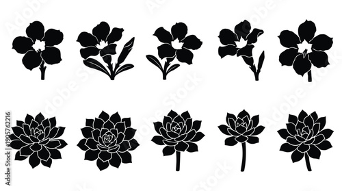 Black flower silhouettes on white background, various floral designs and shapes