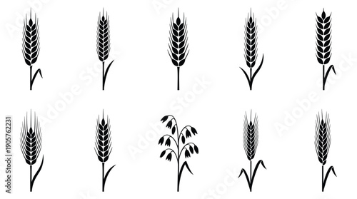 Set of wheat and grain icons in black and white illustration style