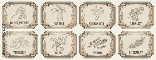 Set of flat vector illustrations of vintage-style spice labels featuring hand-drawn herbs and spices, black pepper, paprika, basil, cinnamon, parsley, turmeric, thyme, on natural beige background