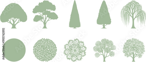 Set of Ten Stylized Tree Silhouettes and Foliage Patterns, Depicting Canopy Shapes, Crown Textures, and Botanical Landscape Design