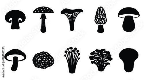 Collection of various black mushroom silhouettes on white background