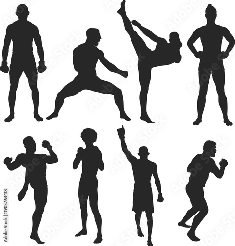 Silhouette of Fighters