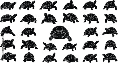 Turtle Silhouette Vector Set Showing Multiple Reptile Poses and Angles Isolated on White Background
