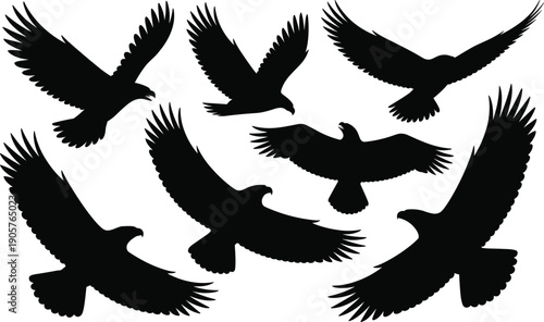 Collection of black eagle silhouettes in various flying poses on a white background