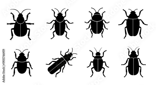 Diverse beetle silhouettes illustrating entomological diversity and stylistic variations for design