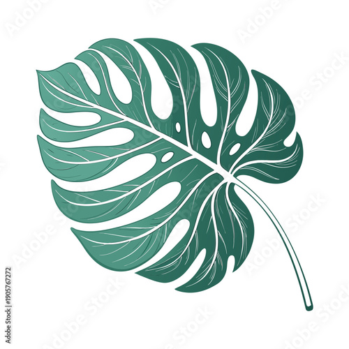 Single Monstera Leaf Vector Illustration with Clean Lines and Minimalist Flat Design