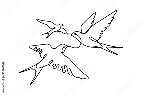 Continuous one line drawing of flying swallows bird. Simple barn swallow outline vector illustration. Editable stroke